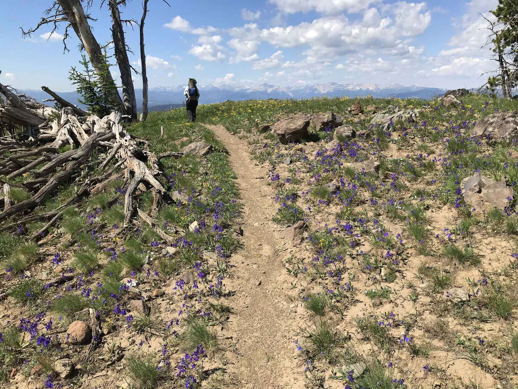 Route finding